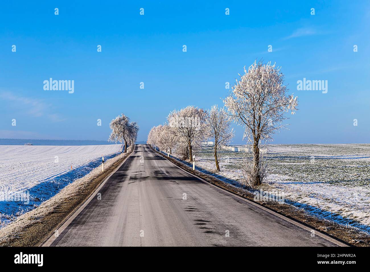 Alley icy trees in hi-res stock photography and images - Alamy