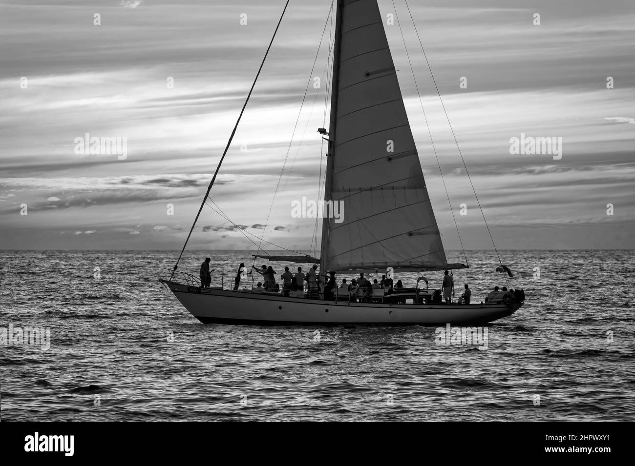 Black and white people happy hi-res stock photography and images - Alamy