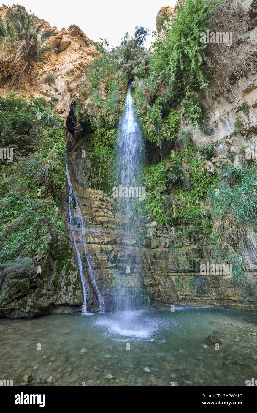 David's Waterfall, Wadi David, Ein Gedi Nature Reserve, Israel Stock Photo