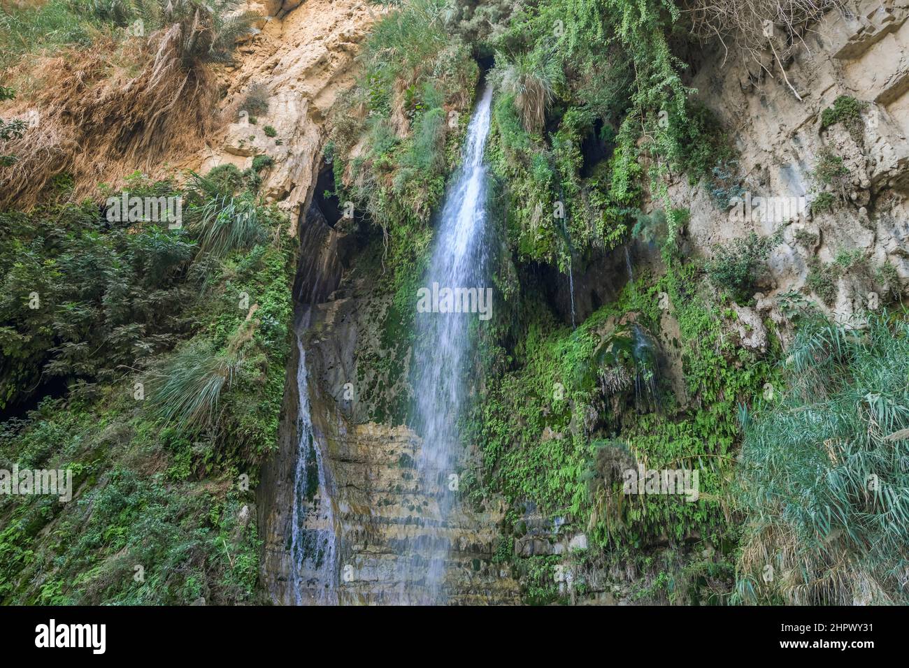 David's Waterfall, Wadi David, Ein Gedi Nature Reserve, Israel Stock Photo