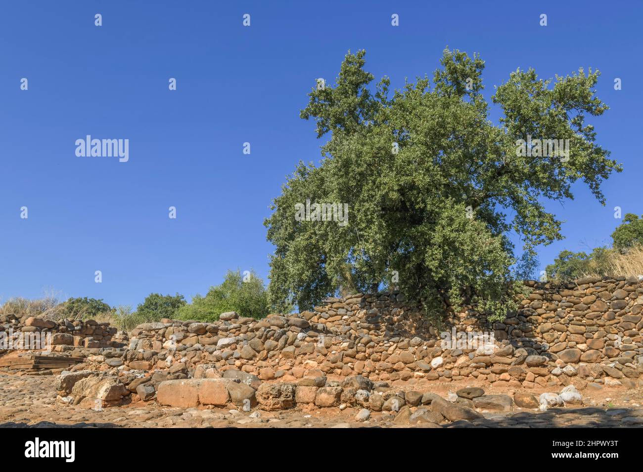 Excavation site site of the ancient site of Dan, Tel Dan National Park ...