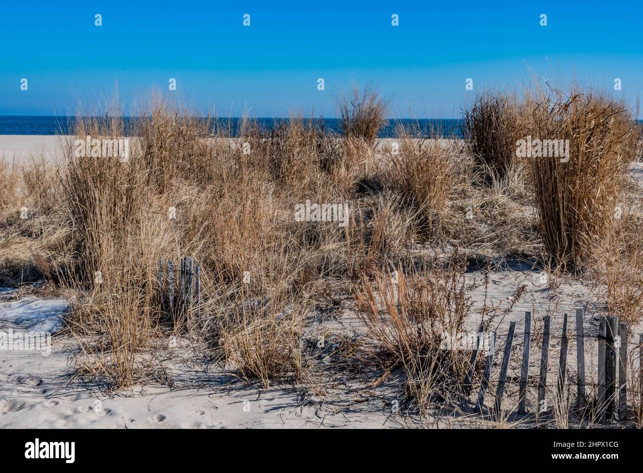Winter Day at Sandy Hook, Gateway National Park, New Jersey, USA Stock