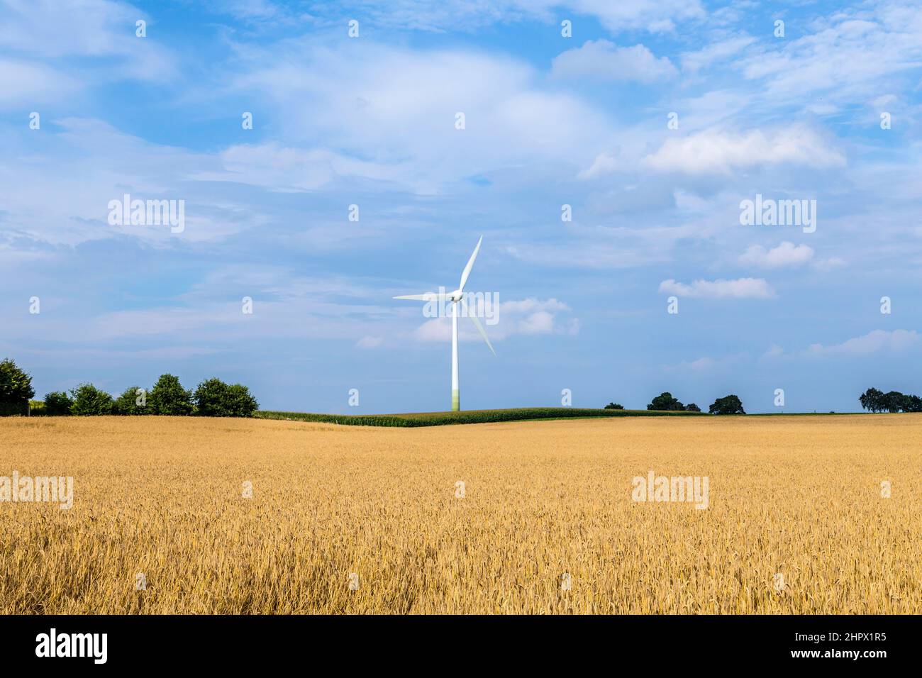 wind generator in rural landscape for sustainable energy Stock Photo ...