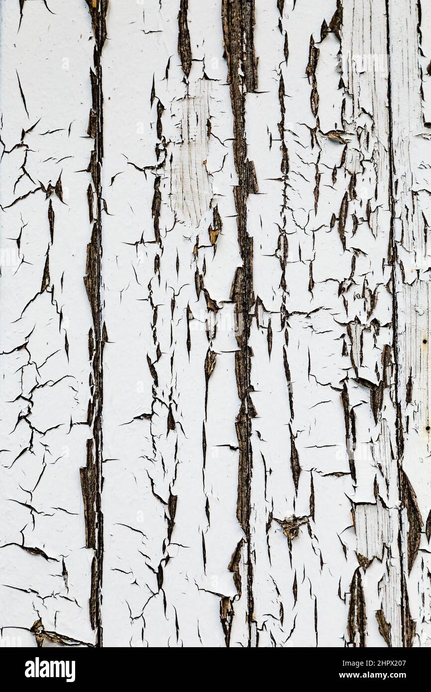 White Peeling Paint Wooden Board Background Stock Photo - Alamy