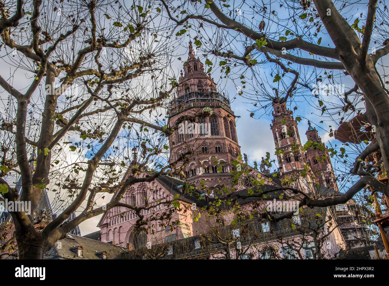 famous dome Town in Mainz, Germany seen through trees in autumn Stock