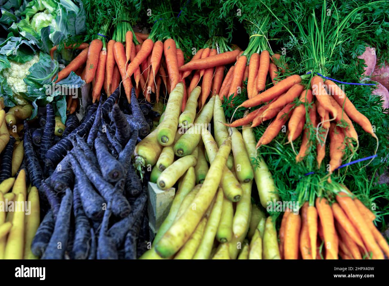 Carrots of different colours and other vegetables Stock Photo Alamy