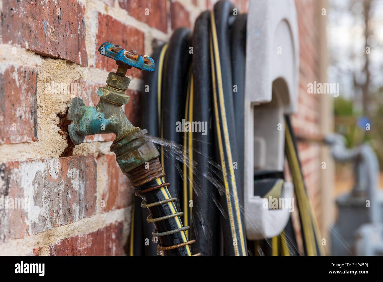Outdoor water faucet leaking with hose attached. Stock Photo