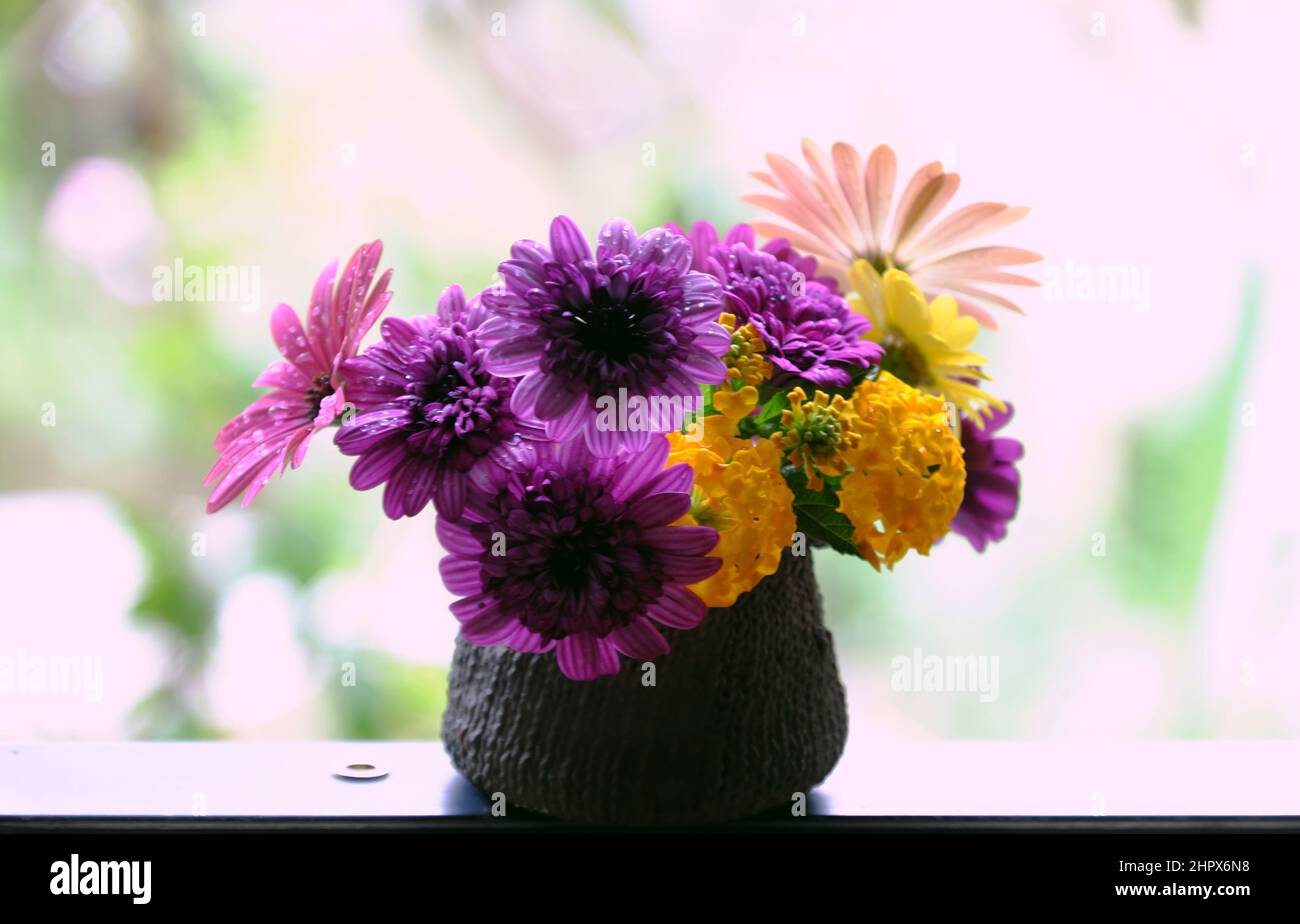 Beautiful colorful flower vase with variety daisy blossom on wooden window frame of house to decor home in springtime Stock Photo