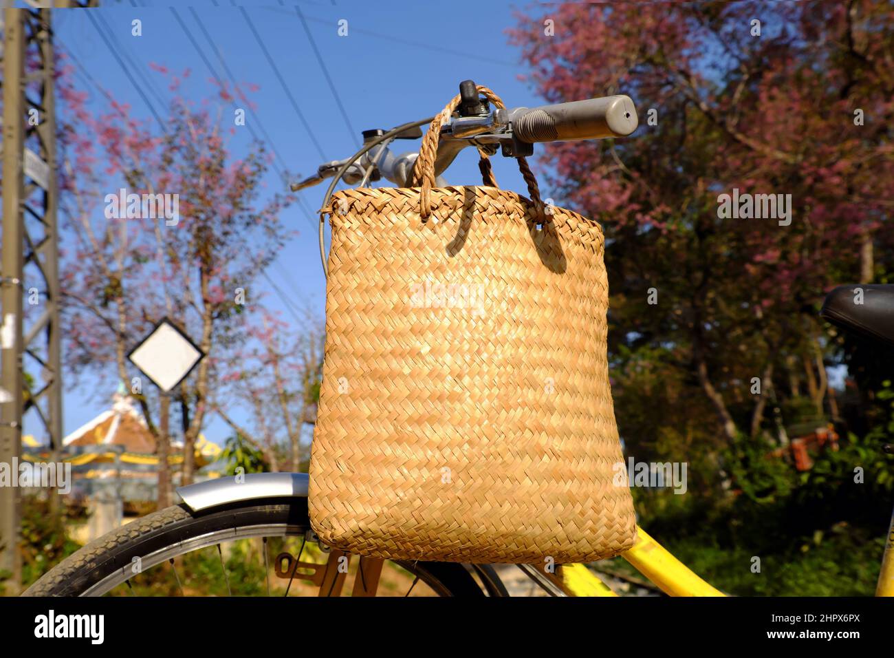 Beautiful scene at Da Lat, Viet Nam in springtime, yellow bike and pink flower from bottom view, cherry blossom tree bloom in spring, a holiday trip b Stock Photo