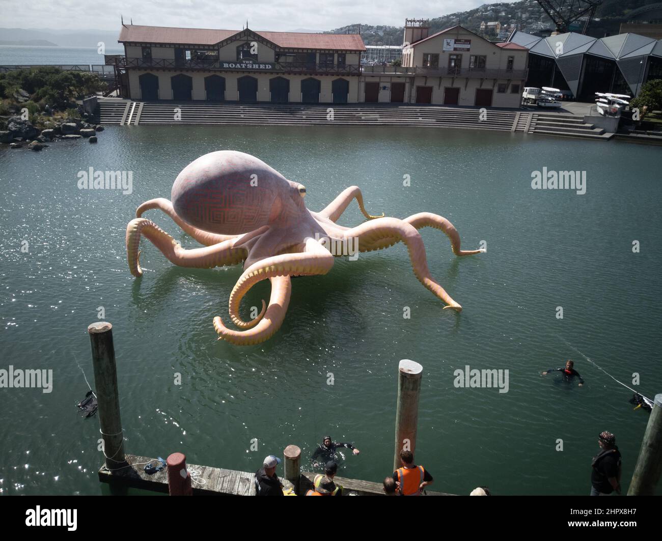 Giant octopus sculpture by artist Lisa Reihana being anchored in Whairepo Lagoon, Wellington, New Zealand Stock Photo