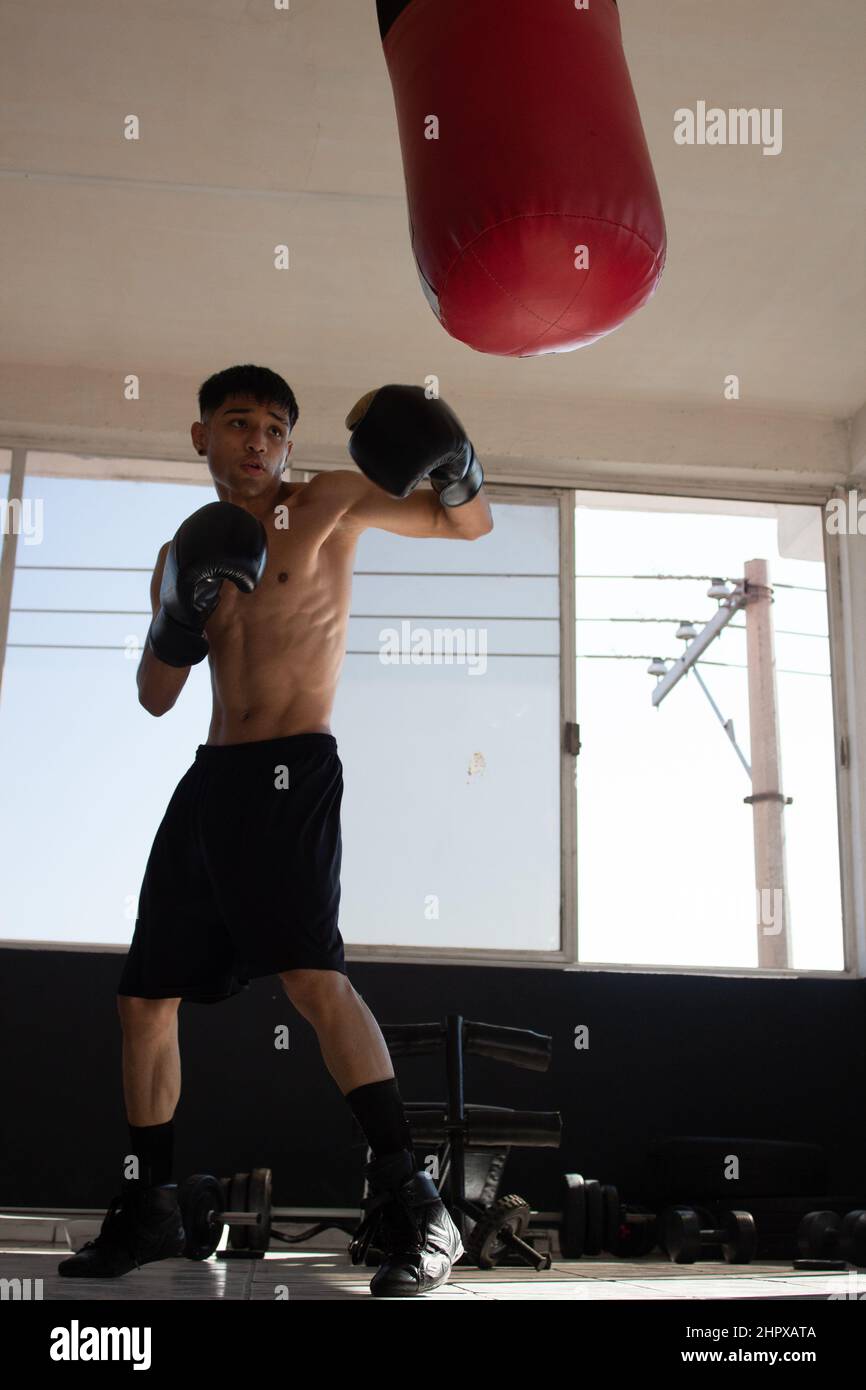 Fitness sports youth boxer hi res stock photography and images Page 5 Alamy