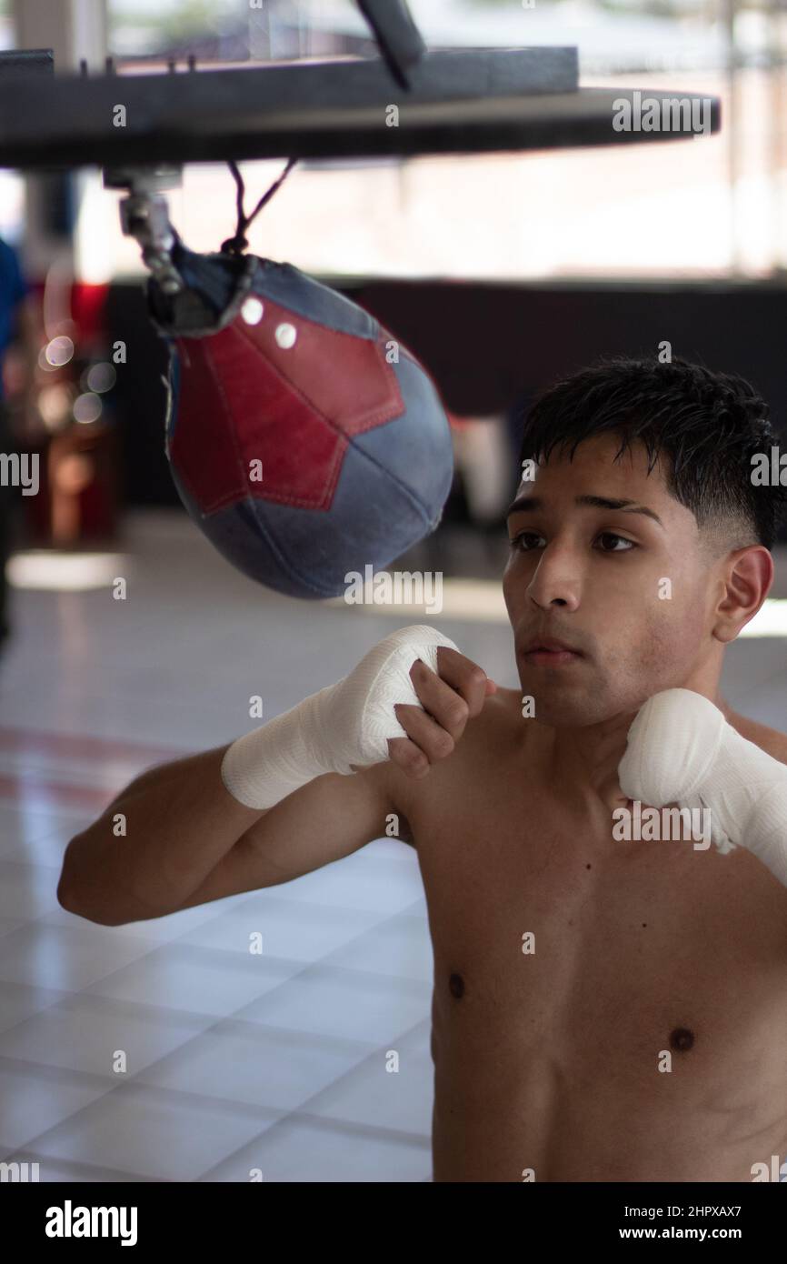 lightweight boxer training his speed and coordination by punching the