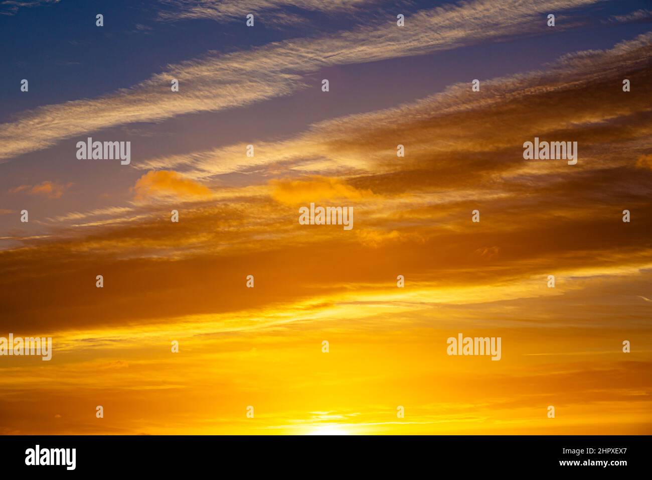 Sunrise with warm tone golden color background. Orange background from sunrise.. Natural spring  sunrise soft color light . Stock Photo