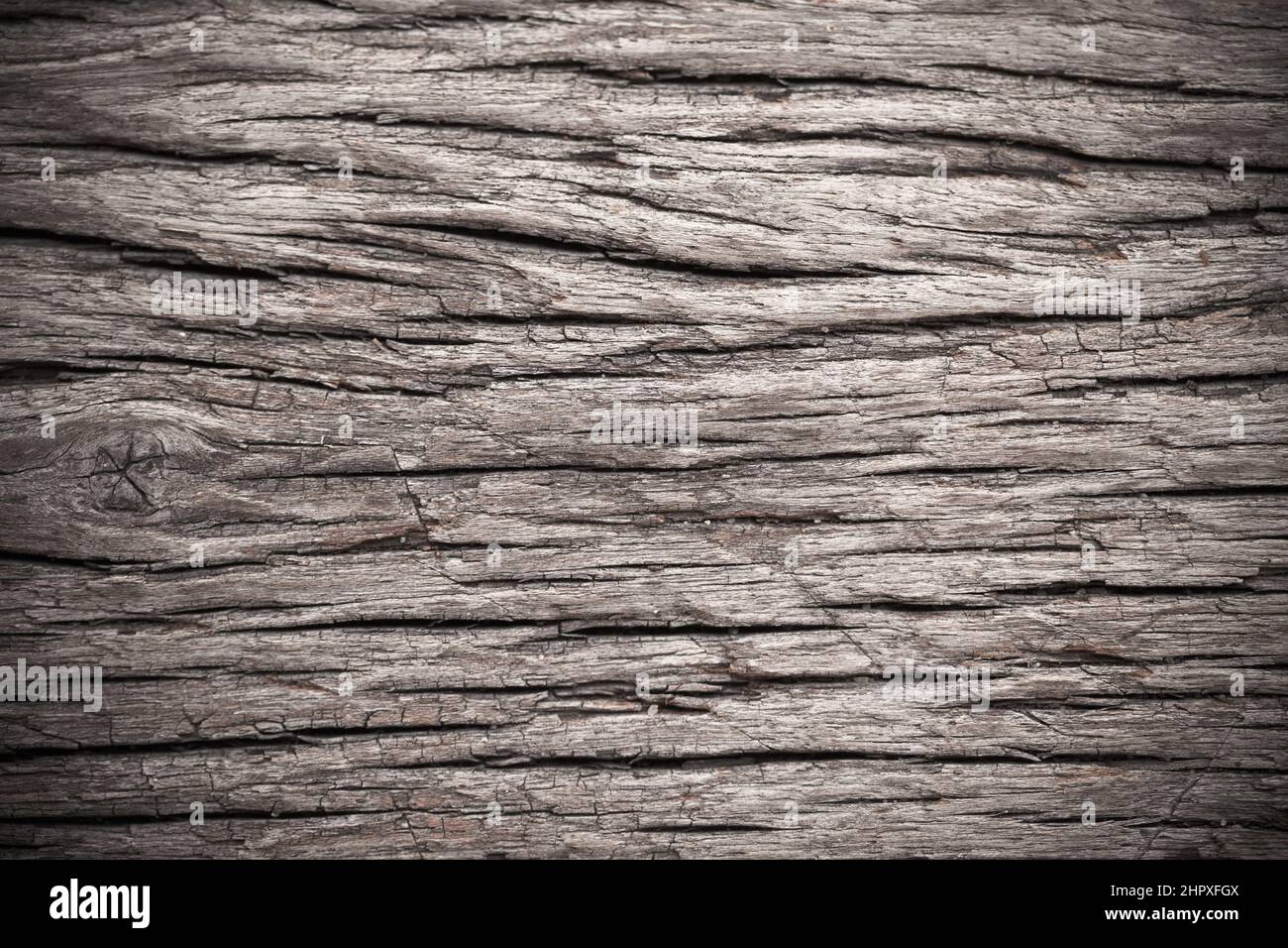Texture of old bark wood use for natural background Stock Photo - Alamy