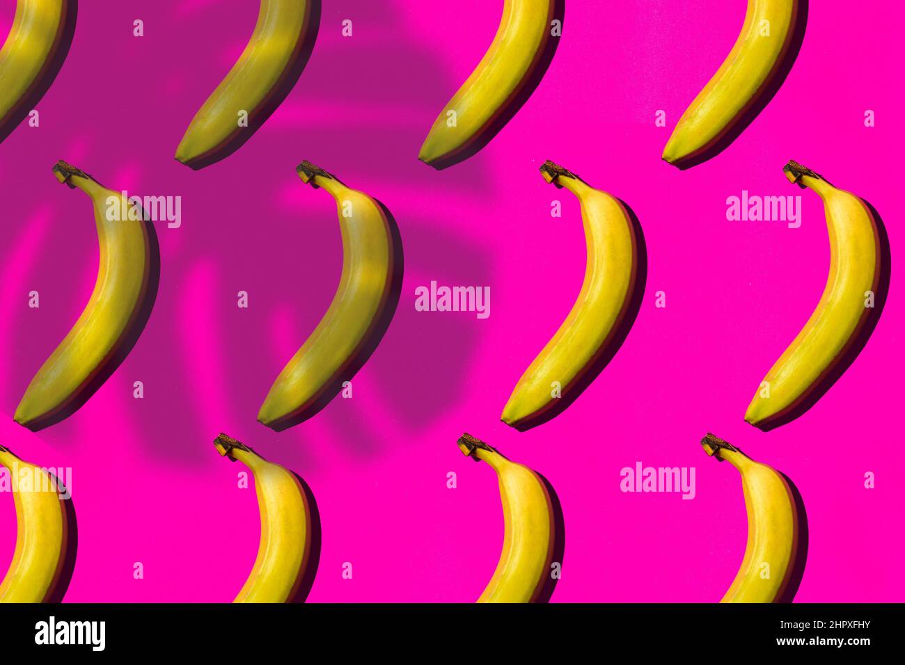Pattern of fresh yellow bananas under the shade of banana leaves on
