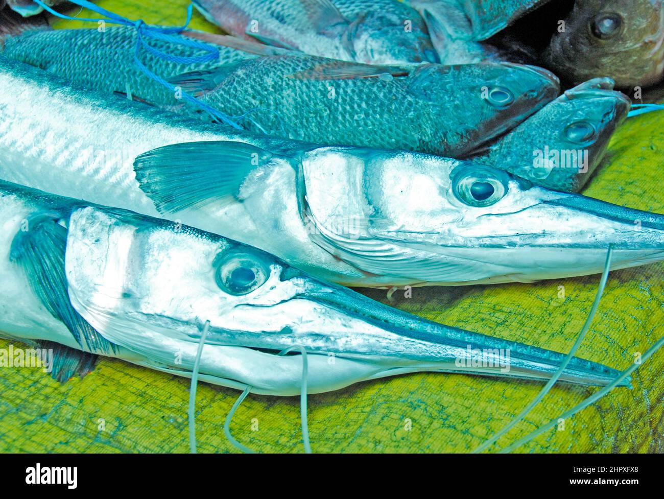 swordfish on display, fishmarket, Suva, Fiji Stock Photo