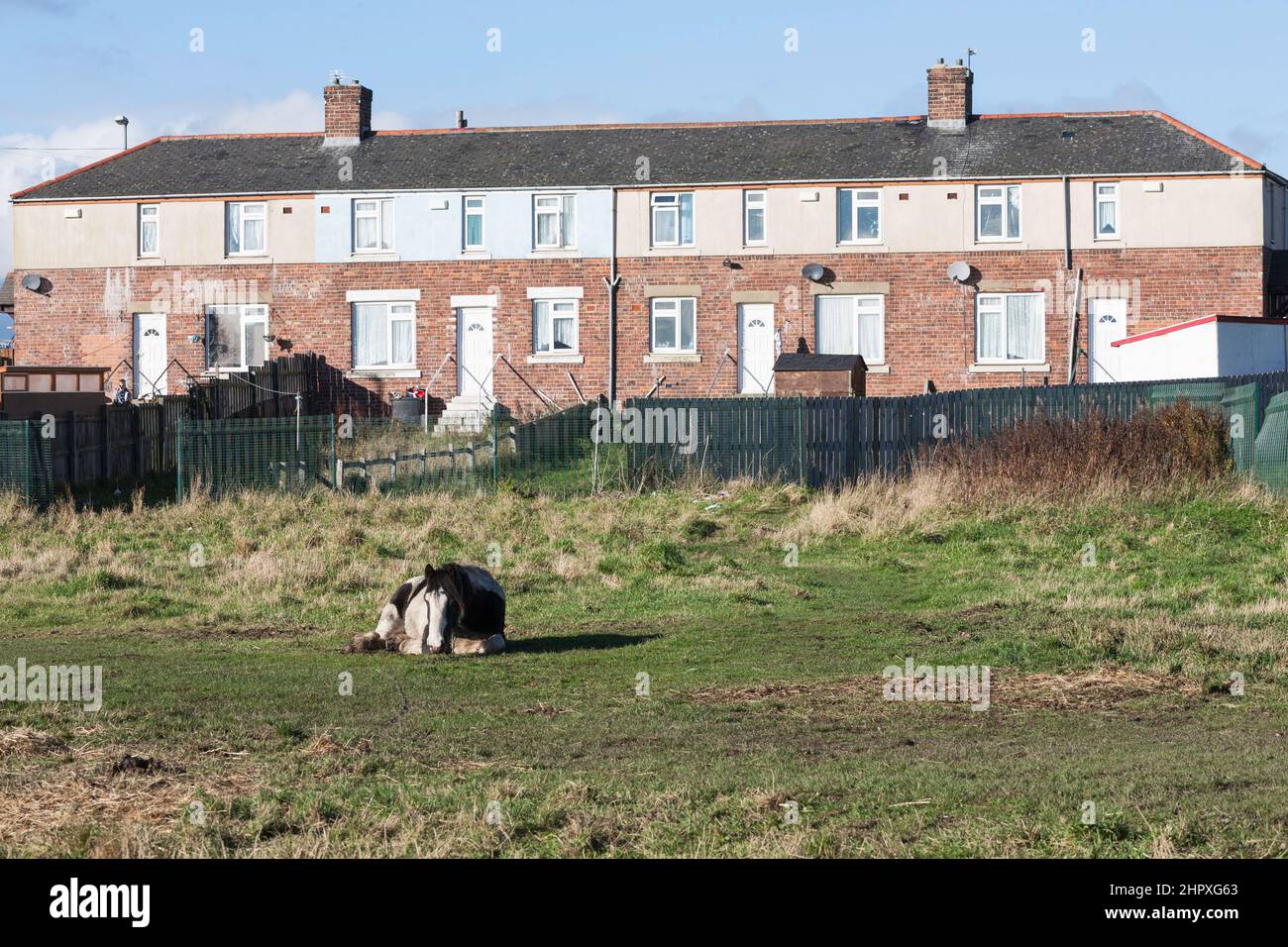 A 1930s built terrace of houses on Cuthbert Avenue on the Sherburn Road