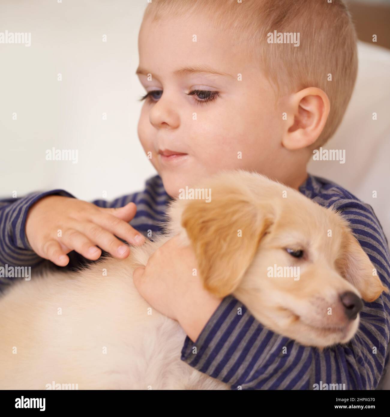 Being gentle with the new puppy. Closeup shot of a little boy petting a puppy. Stock Photo