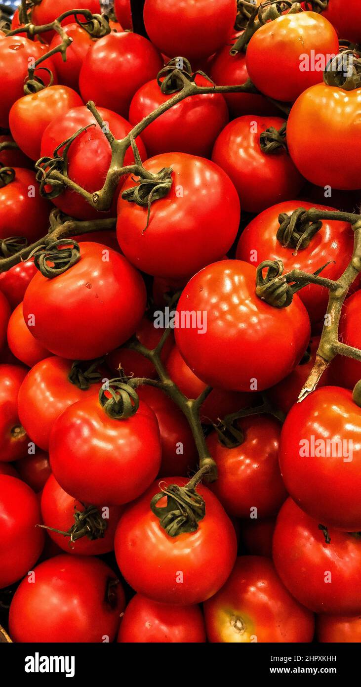 Bunch of red fresh tomatoes Stock Photo - Alamy
