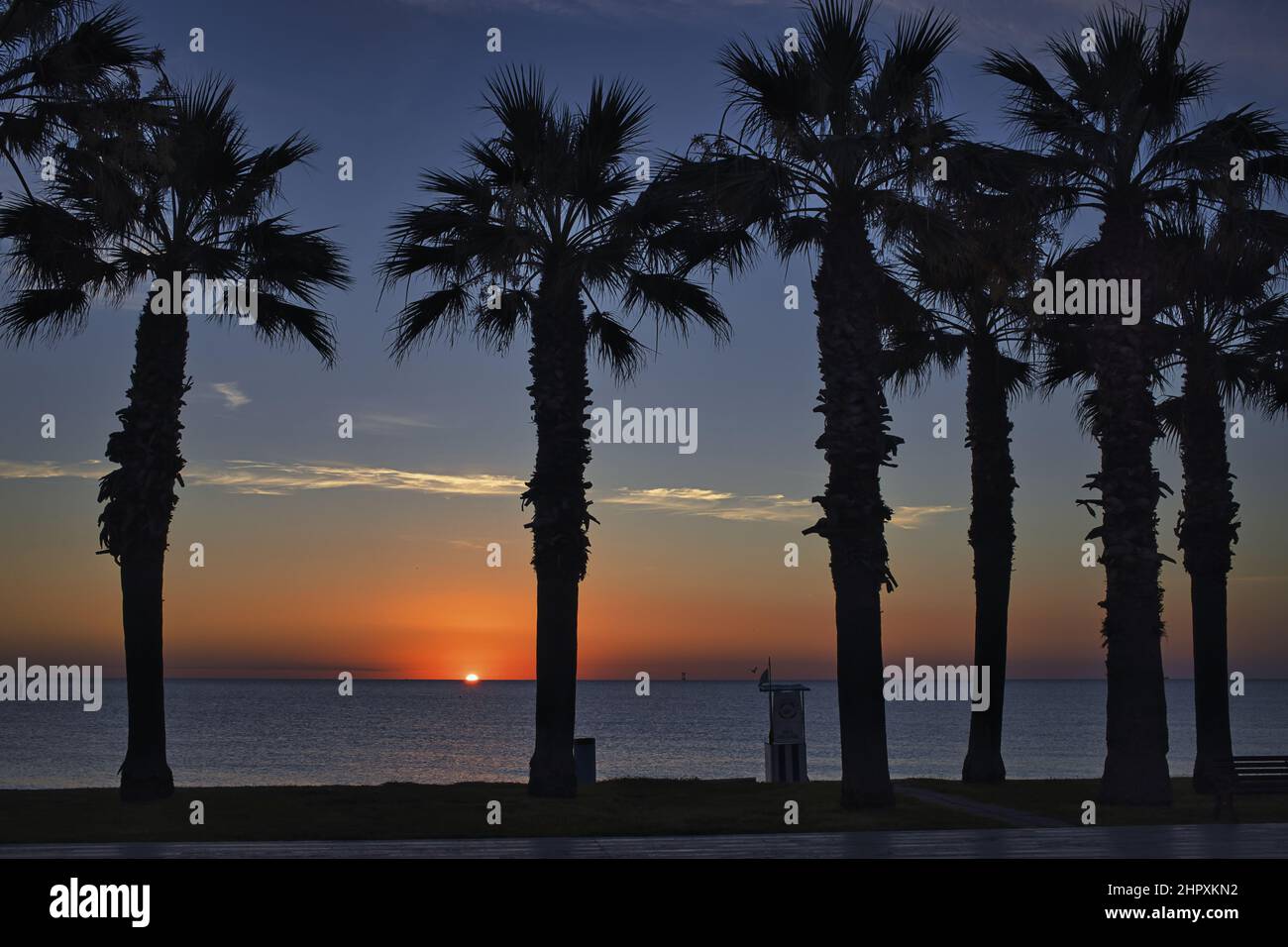 Beautiful shot of a beach with palm trees during sunset Stock Photo - Alamy