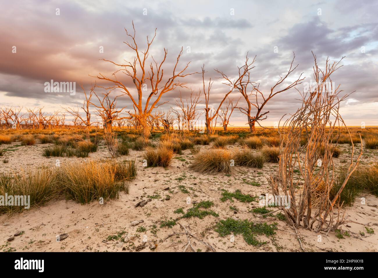 Dried up oasis in the desert. Menindee Lake Stock Photo Alamy