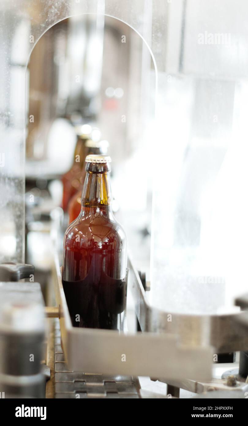 A delicious new brew. Shot of beer bottles on a production line at a
