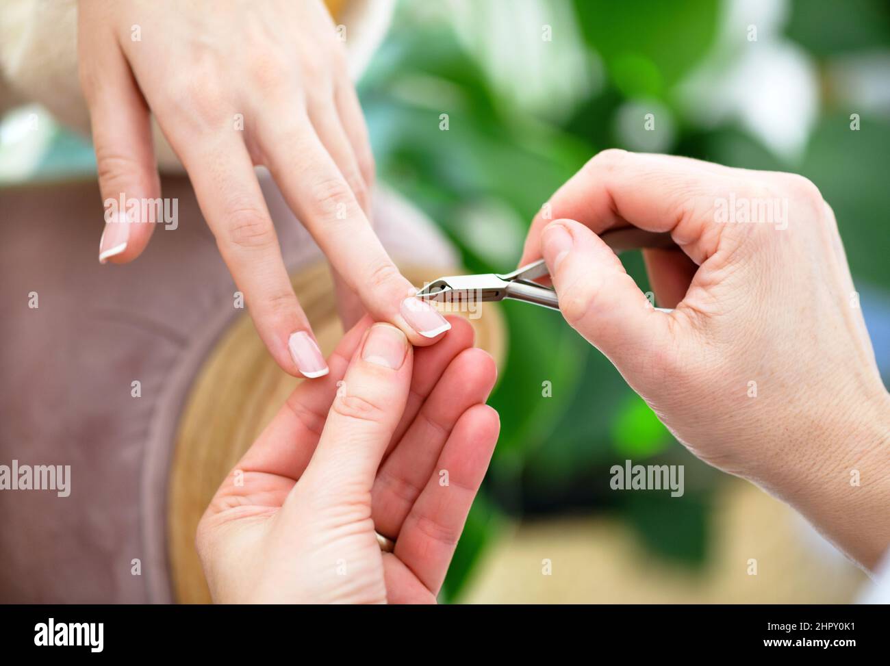 Crop anonymous manicurist using nippers while cutting cuticles on nails of unrecognizable female client during manicure procedure on blurred backgroun Stock Photo