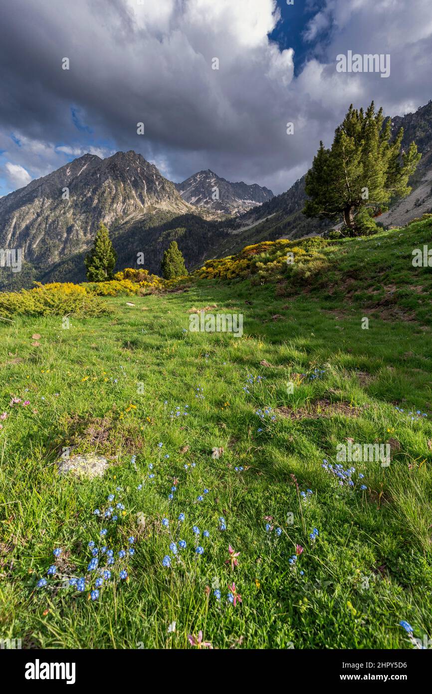 Bonaigua pyrenees, Spain Stock Photo