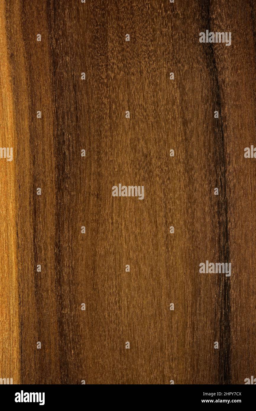 Mansonia altissima hires stock photography and images Alamy