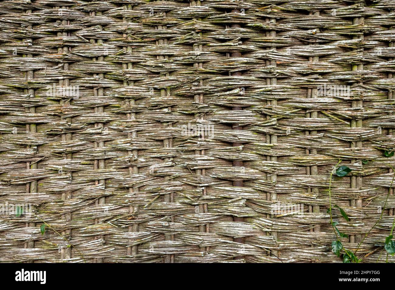 A section of well worn willow fencing hurdle Stock Photo