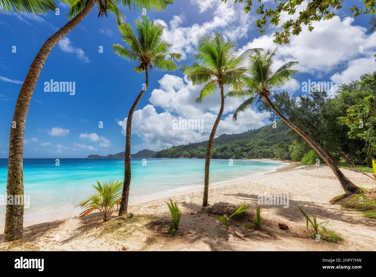 Palm beach scenic view hi-res stock photography and images - Alamy