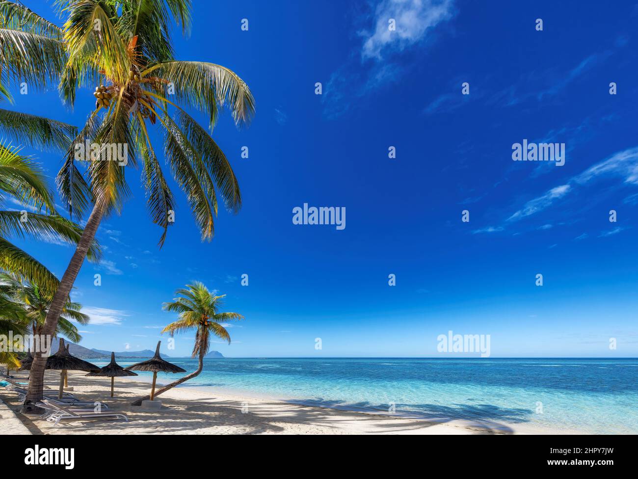 Palm trees in tropical sunny beach resort in Mauritius island. Stock Photo