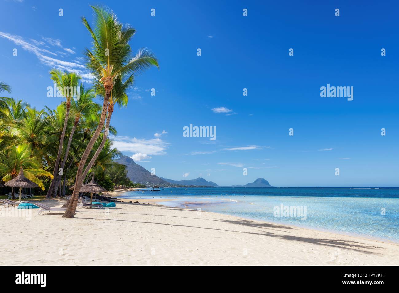 Palm trees in tropical sunny beach resort in Mauritius island Stock ...