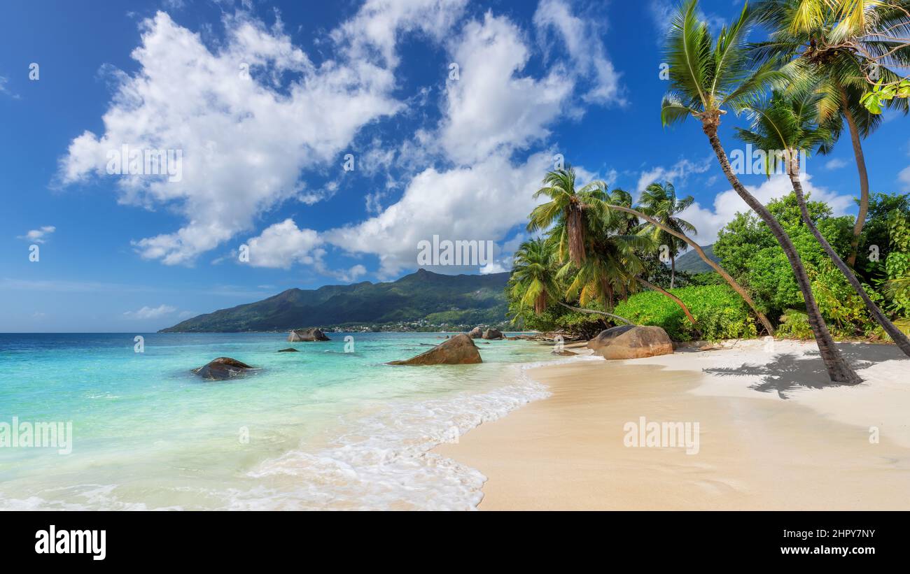 Exotic tropical Sunny beach and coconut palm trees on Seychelles island. Summer vacation and tropical beach concept. Stock Photo