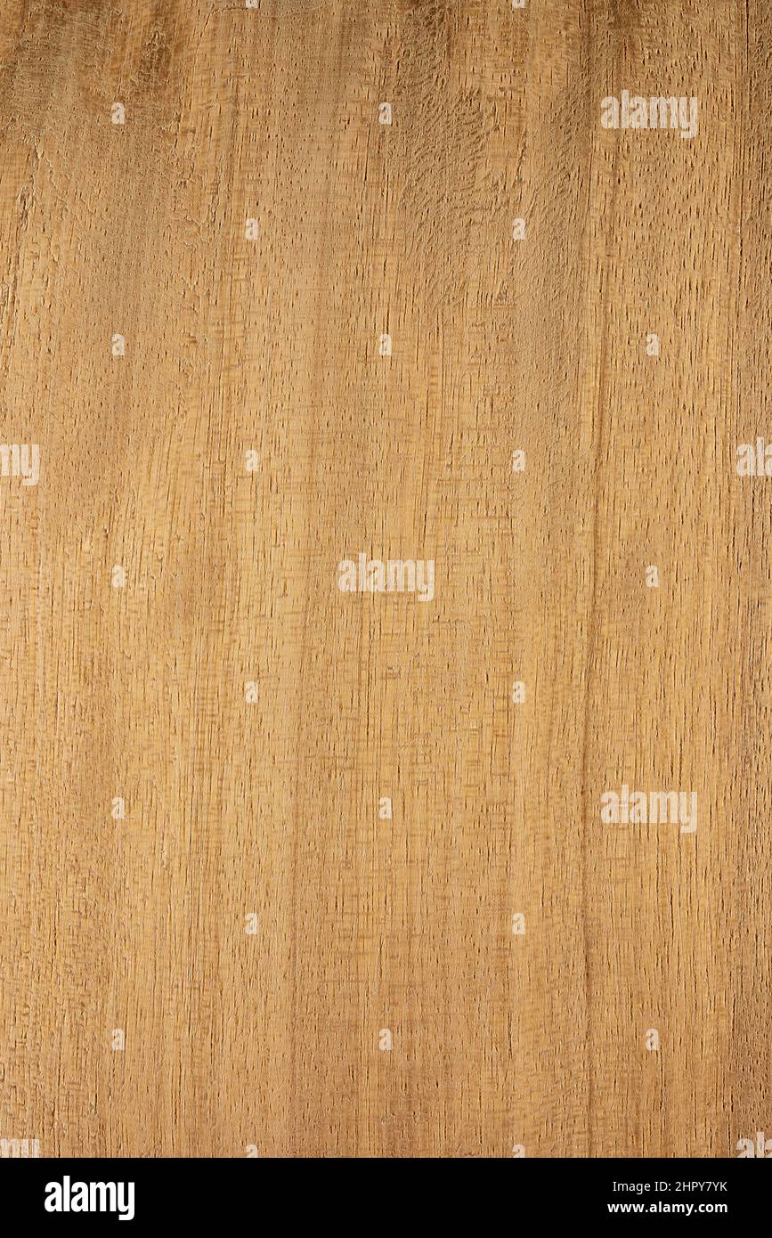 African satinwood distemonanthus benthamianus hires stock photography and images Alamy