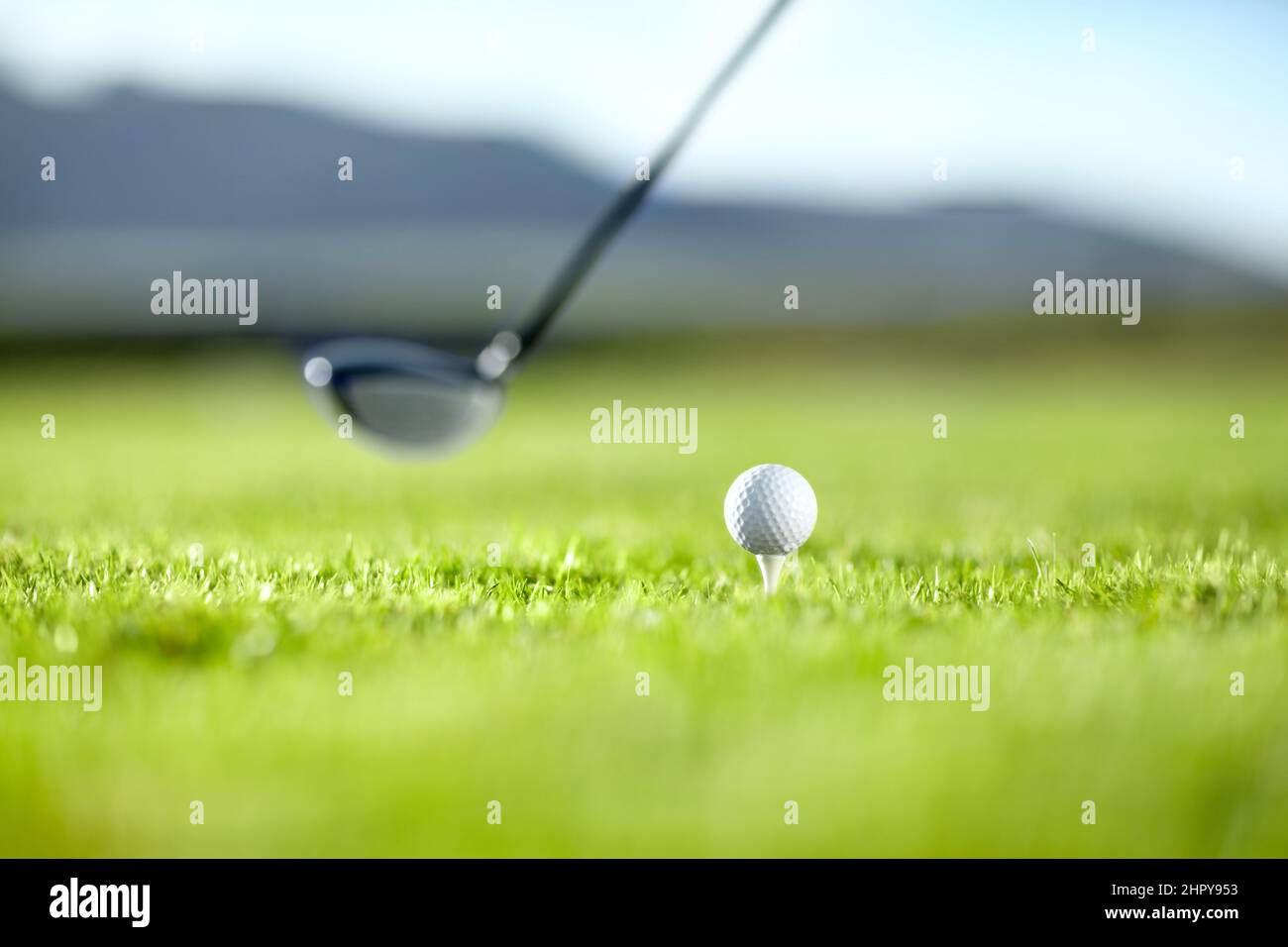 Timing the shot. A golf club ready to teeoff with a white ball on a