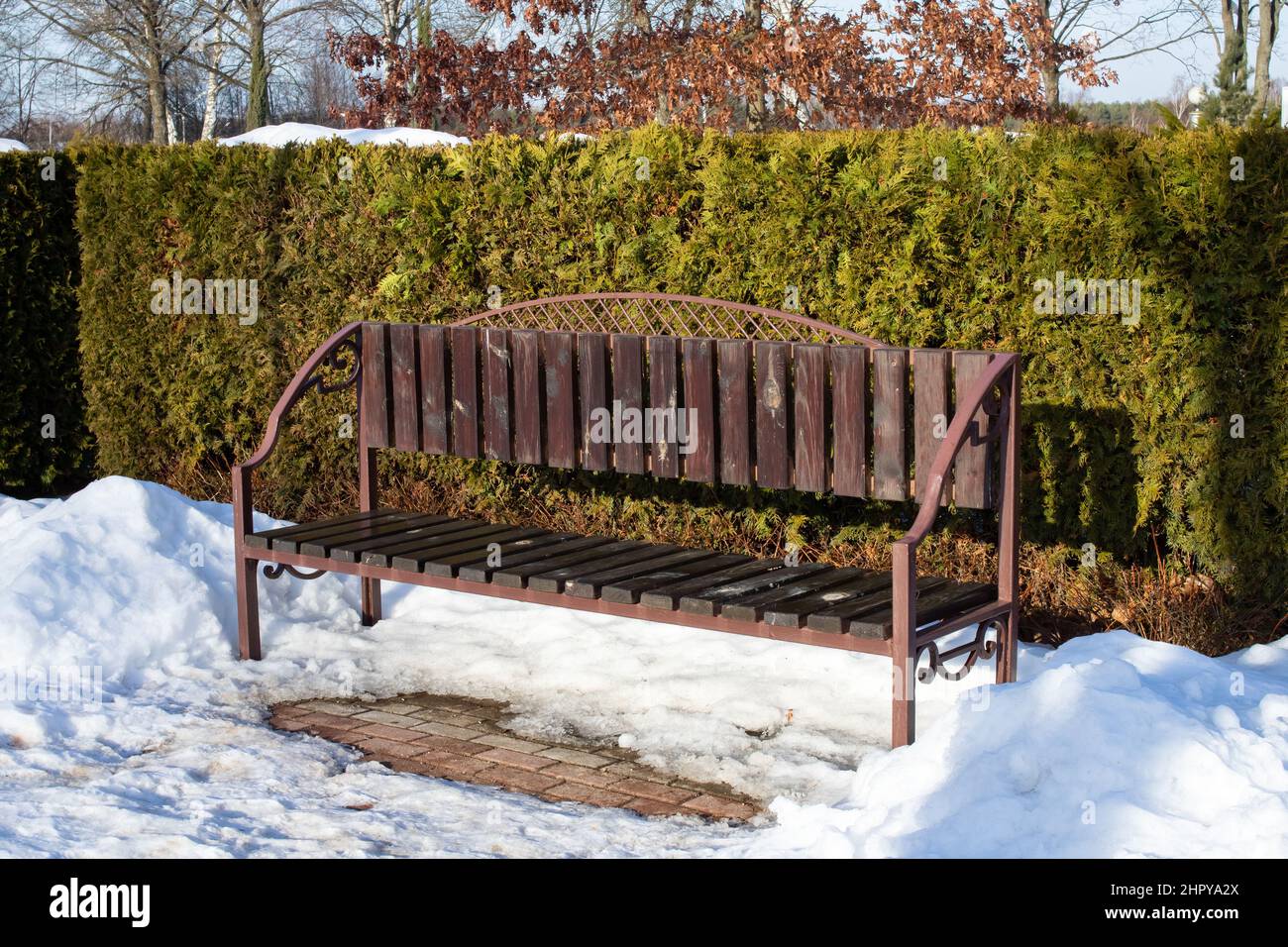 Wooden bench and bush in snow in park Stock Photo - Alamy