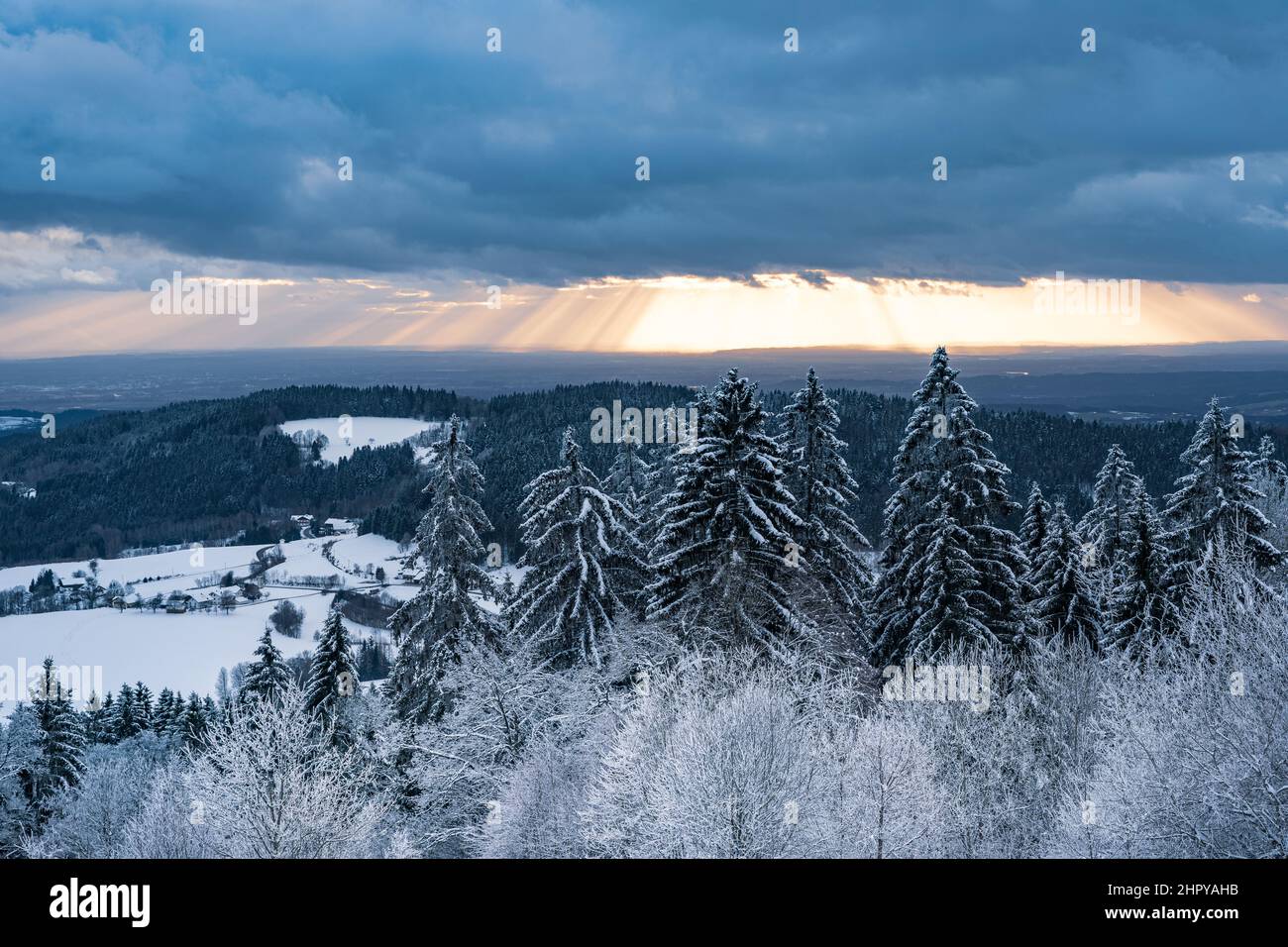 Fairytale winter forest hi-res stock photography and images - Alamy