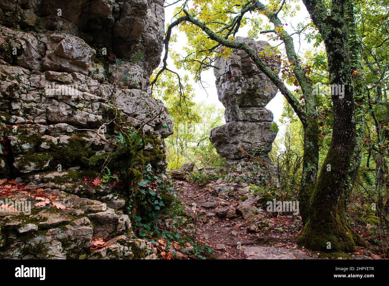 Rock of Paiolive forest, sensitive natural area, Ardeche, France Stock Photo