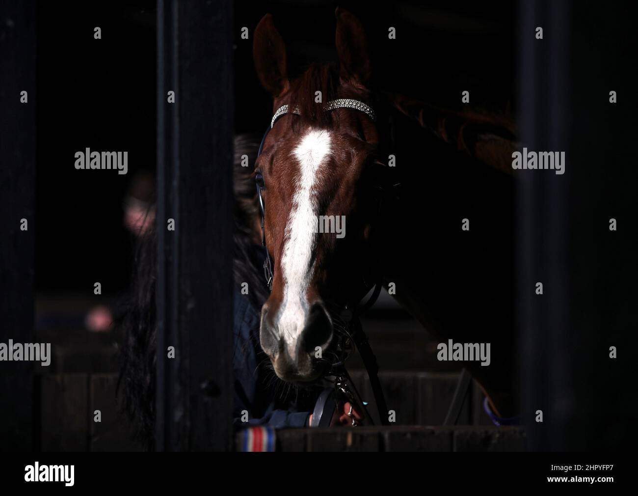 Huntingdon smarpix hires stock photography and images Alamy