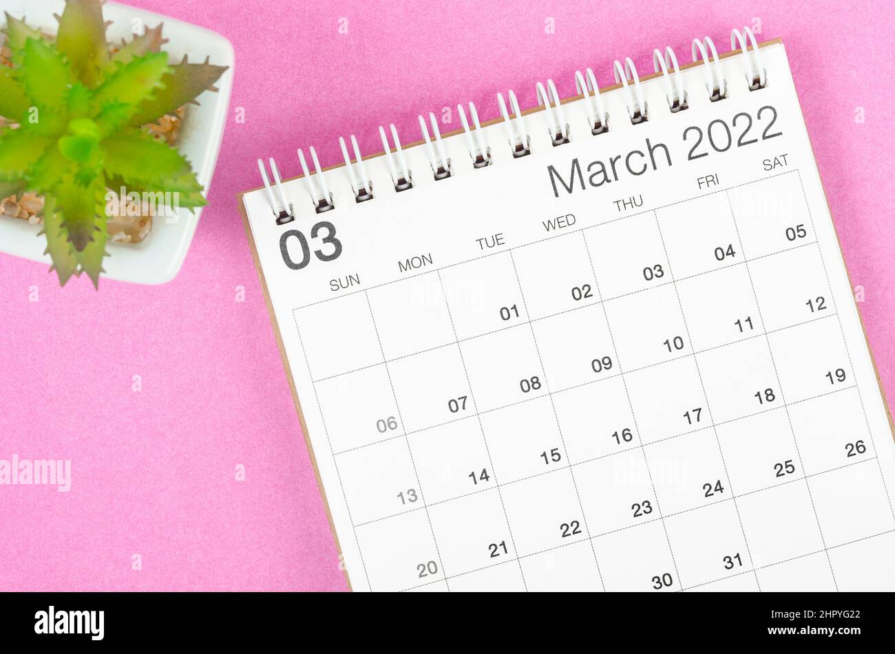 The March 2022 desk calendar with plant pot on pink background. Stock Photo