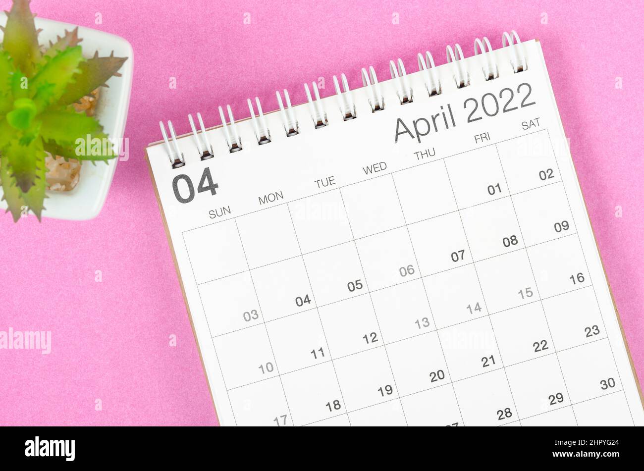 The April 2022 desk calendar with plant pot on pink background. Stock Photo