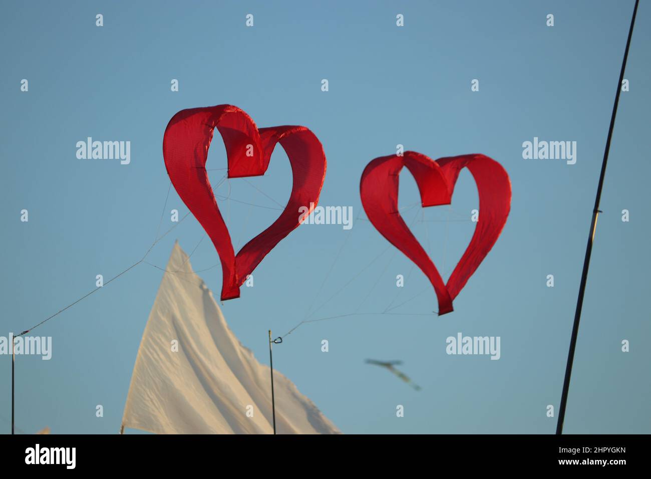 Floating red heart-shaped balloons floating in a blue sky Stock Photo ...