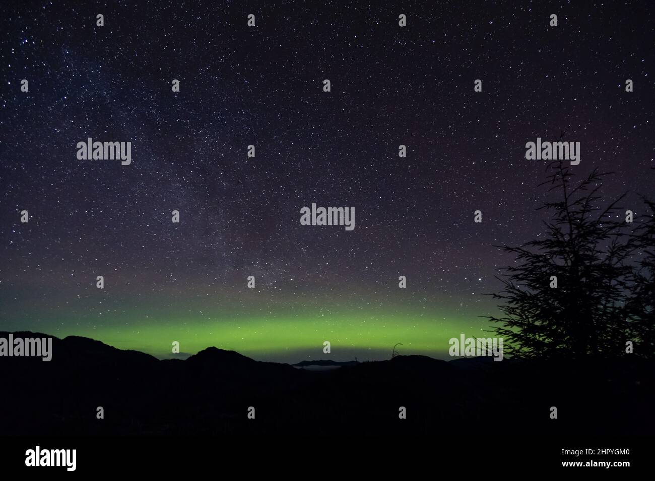 Beautiful shot of green northern lights in a night sky Stock Photo - Alamy