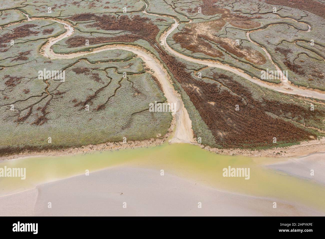 The salt meadows of Cap Hornu at low tide, SaintValerysurSomme, Baie