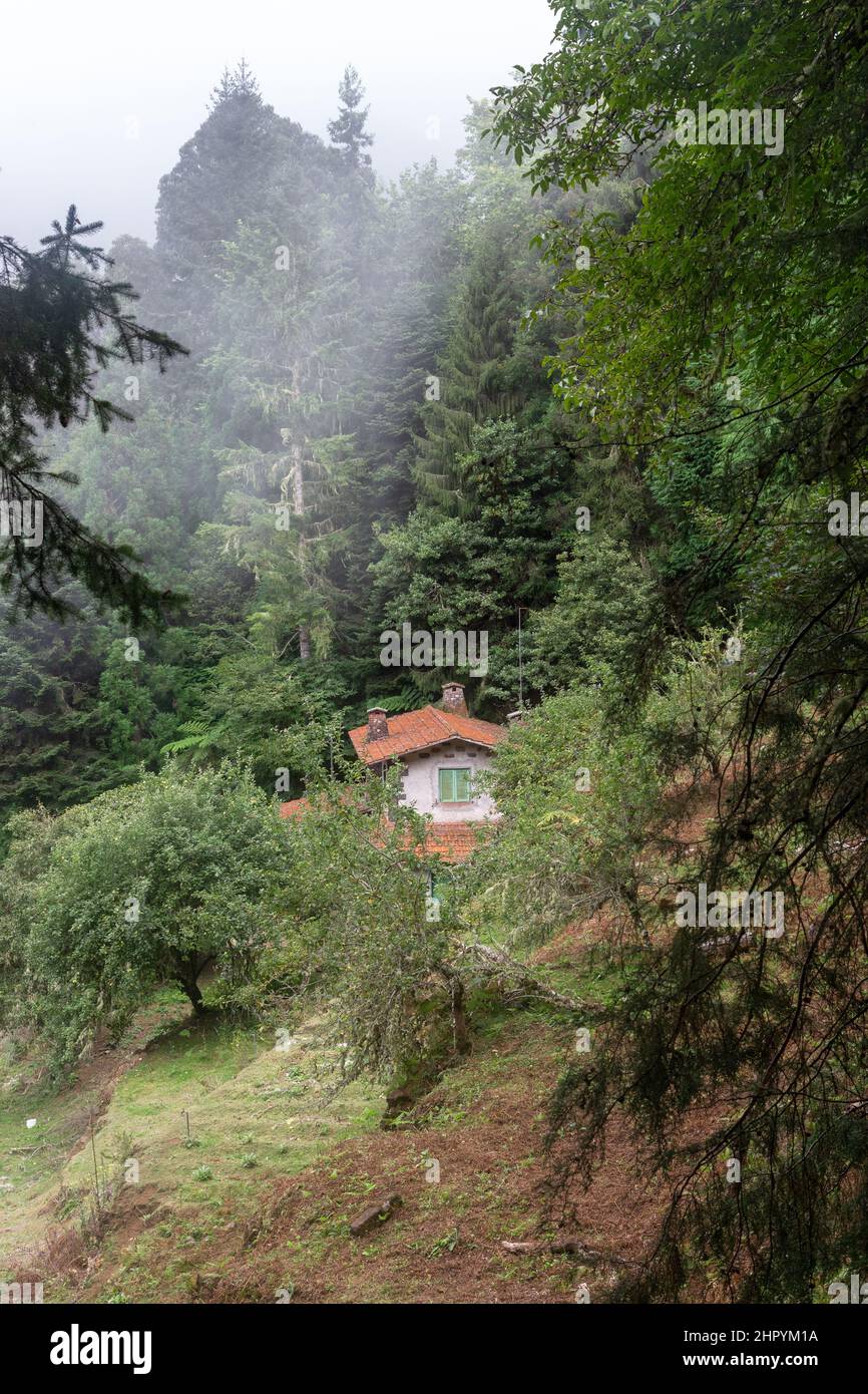 RIBEIRO FRIO, PORTUGAL - AUGUST 22, 2021: This is a house on an alpine forest slope at the edge of the cloud. Stock Photo