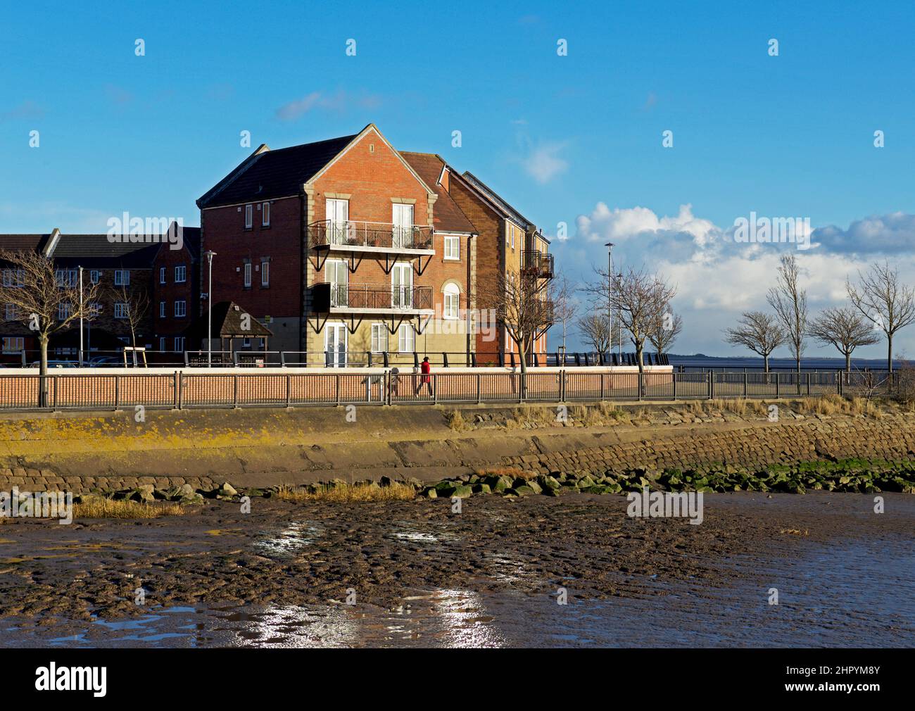 Housing in Victoria Docks, Hull, Humberside, East Yorkshire, England UK