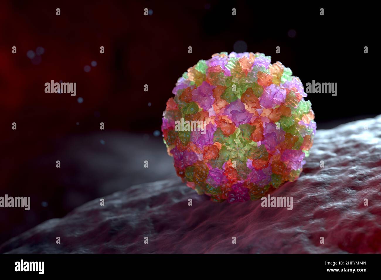 3D graphical representation of a single Norovirus virion. The different colors represent different regions of the organism's outer protein shell, or c Stock Photo
