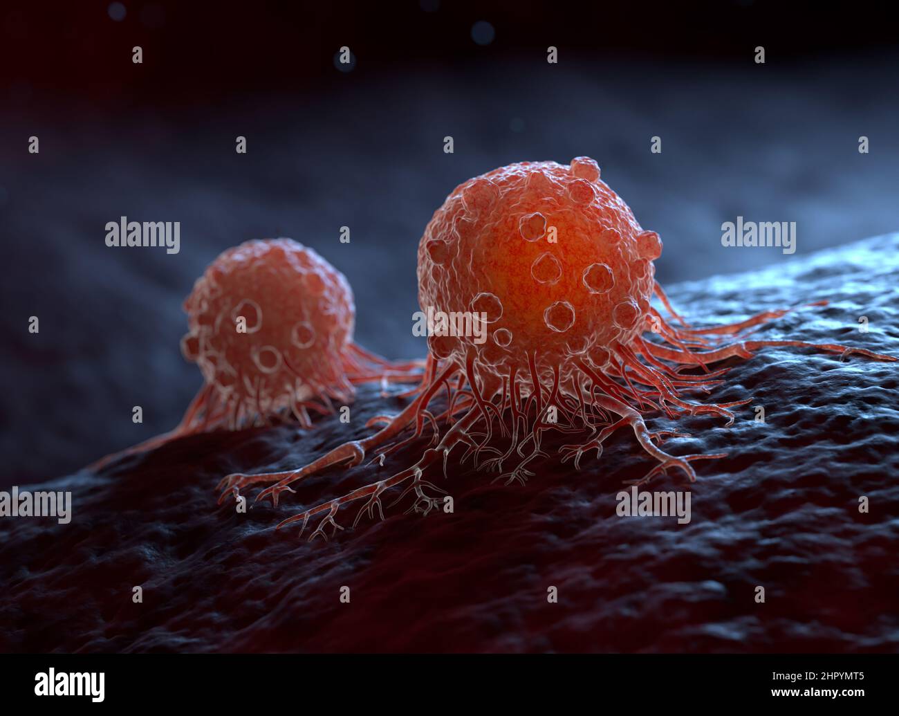 Cancer cells can migrate to other body tissues or organs building metastasis. 3D illustration Stock Photo