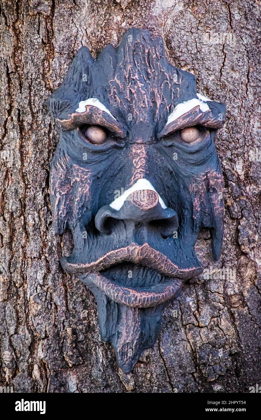 Tree spirit with snow on its nose - dark hanging woody greenman on tree - closeup Stock Photo